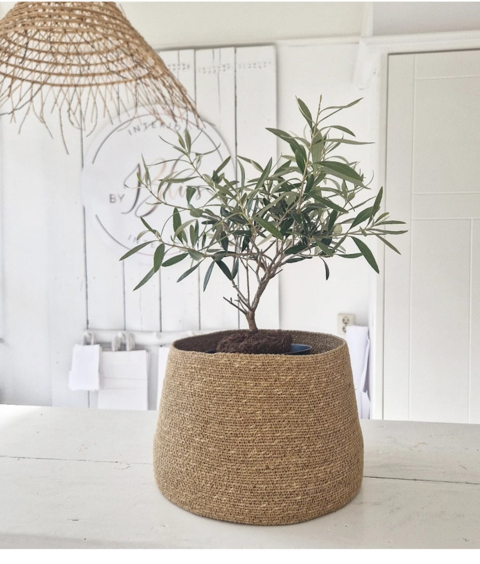Seagrass Basket Natural