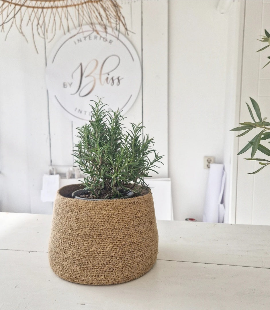 Seagrass Basket Natural