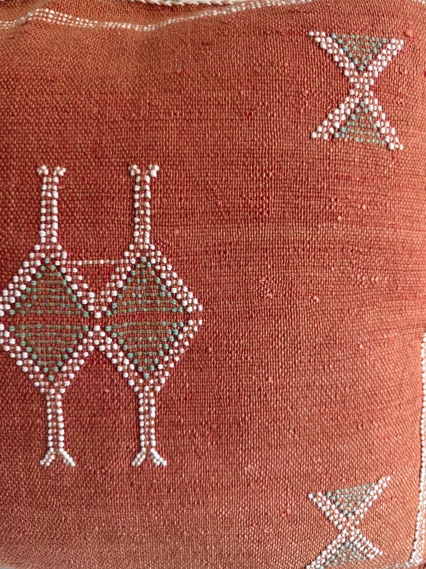 Sabra Silk Cushion Cover | Terra Collection
