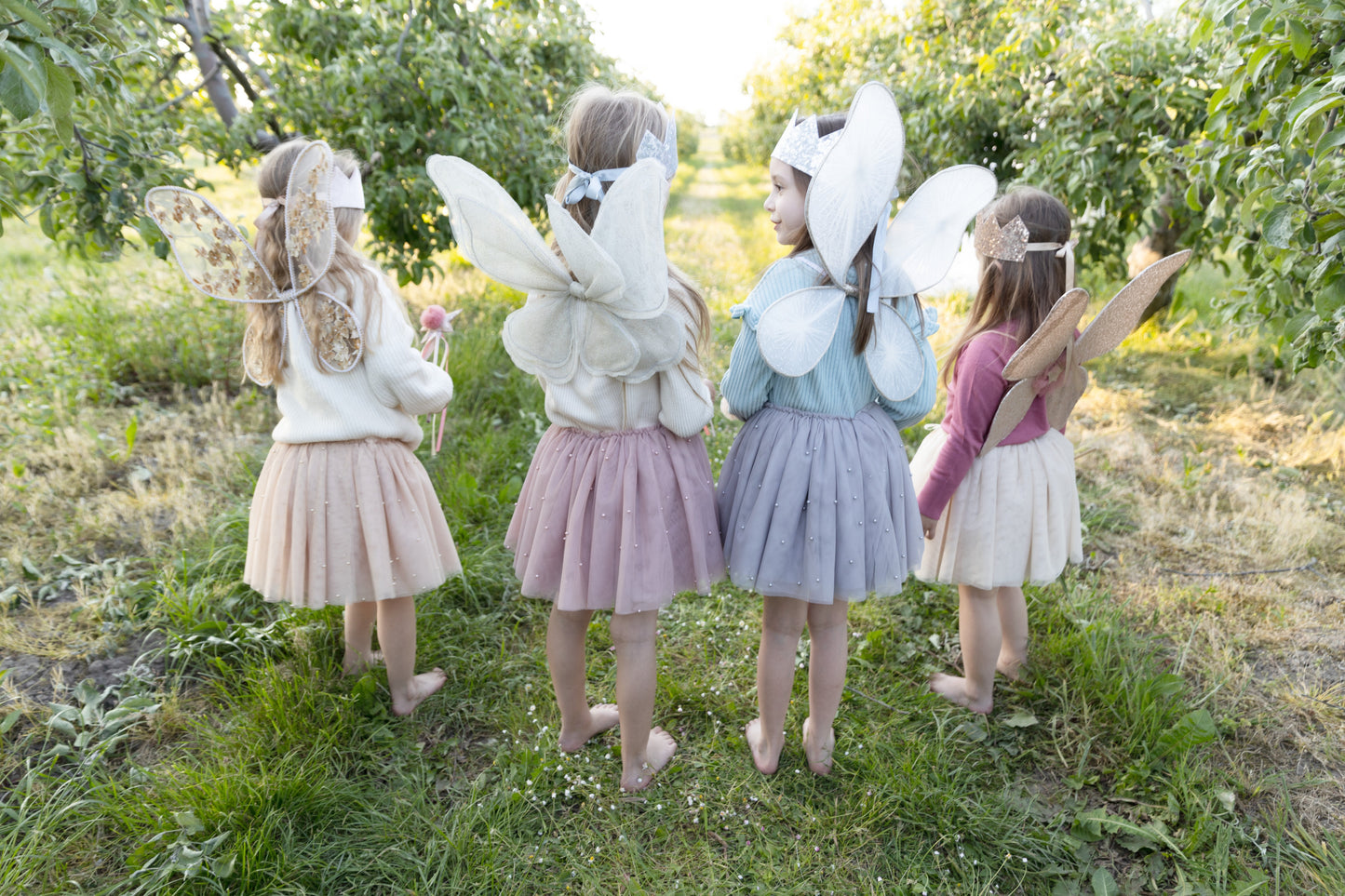 Fairy wings Aurelia Vintage rose