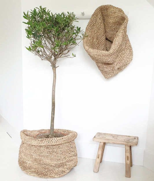 Basket Palm Leaf