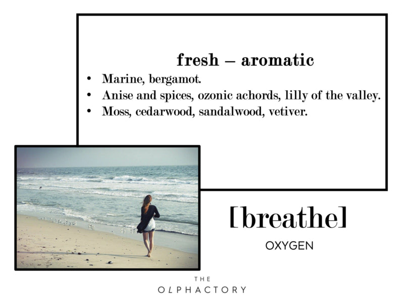The Olphactory fragrance sticks Breathe-Oxygen