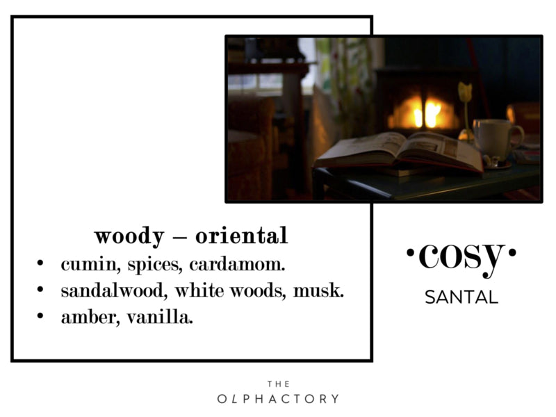 he Olphactory scented sticks Cosy-Santal