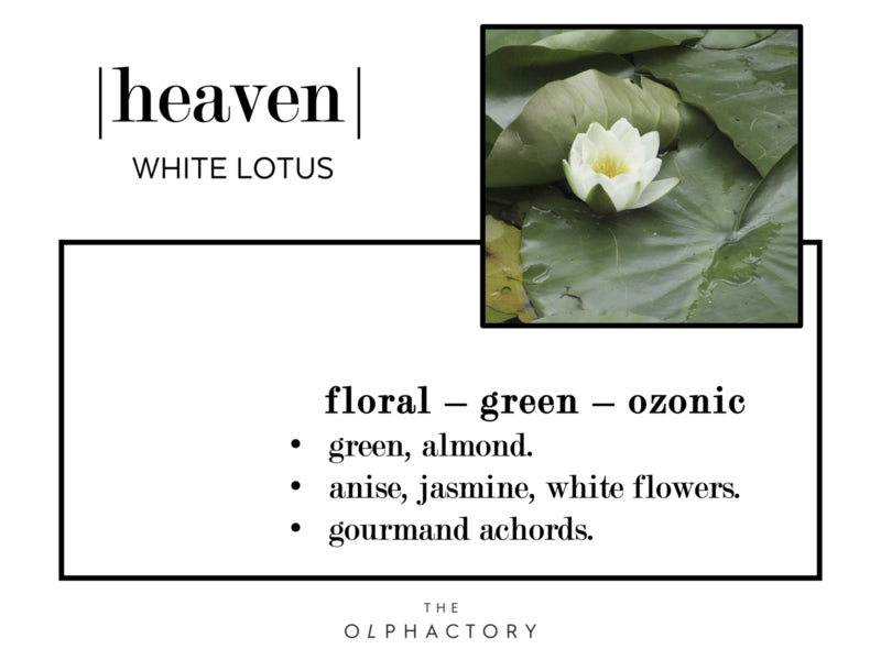The Olphactory fragrance sticks Heaven-White Lotus